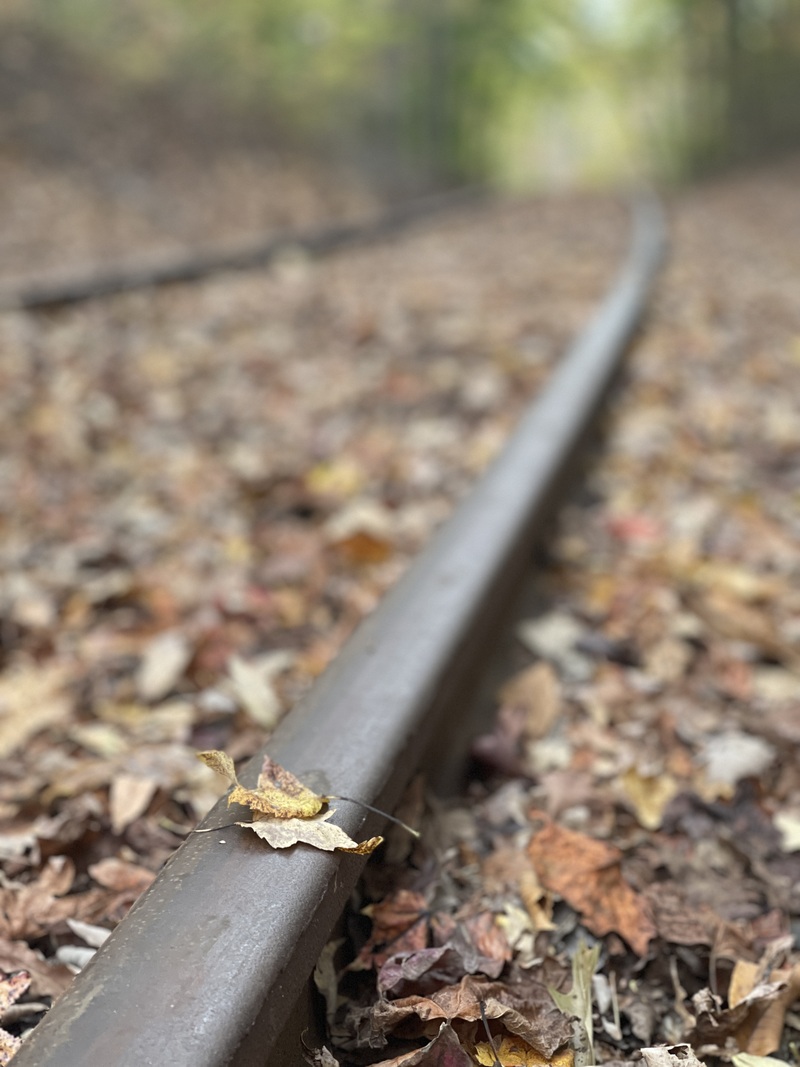 The Narrow Way to Heaven