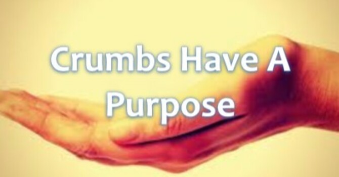 Crumbs Have A Purpose