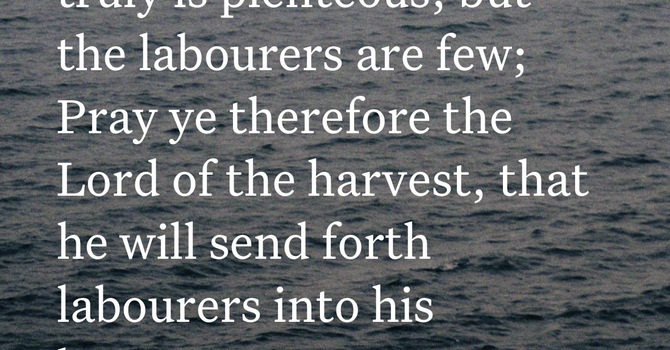 The Urgent Call image
