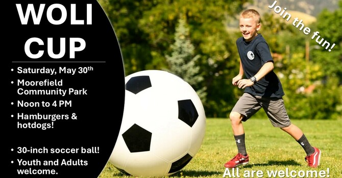 WOLI World Cup