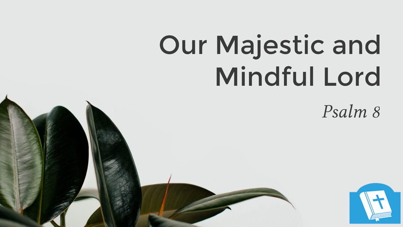 Our Majestic and Mindful Lord