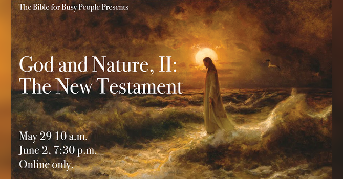 God and Nature II - Bible for the Busy People