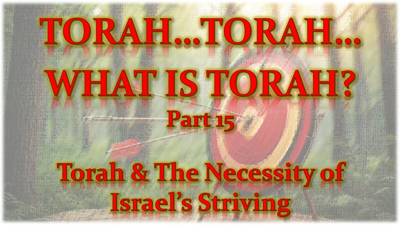 Torah...Torah...What is Torah? Part 15
