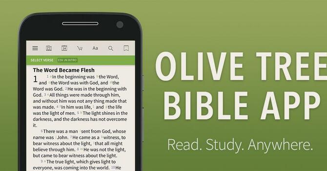 Get Olive Tree