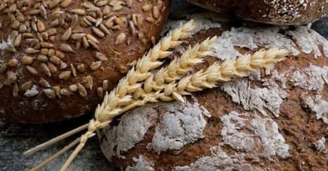 Loaves & Fishes