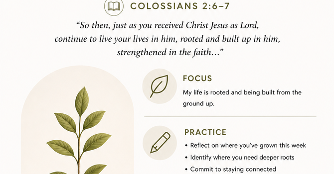 SUNDAY REFLECTION - Built From The Ground Up image