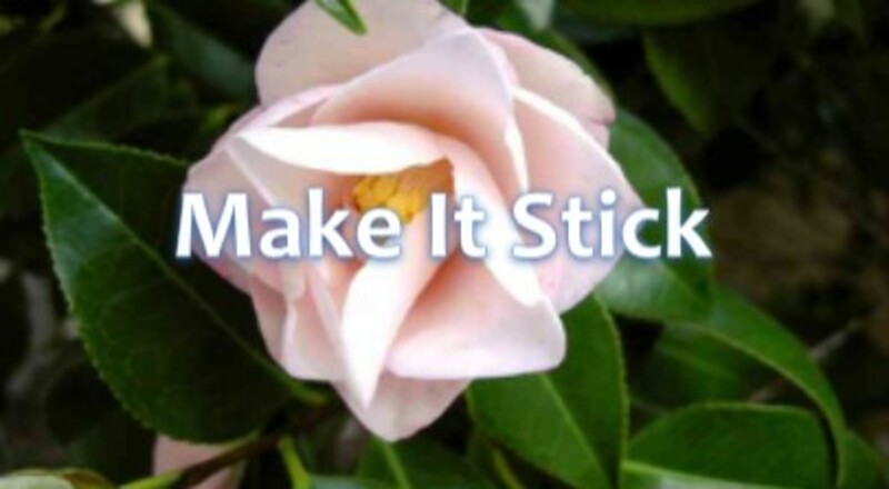 Make It Stick