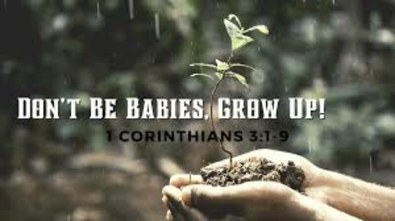 1 Corinthians 3:1-9