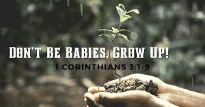 1 Corinthians 3:1-9