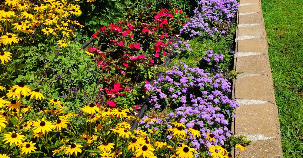 Spring Plants Arrive!