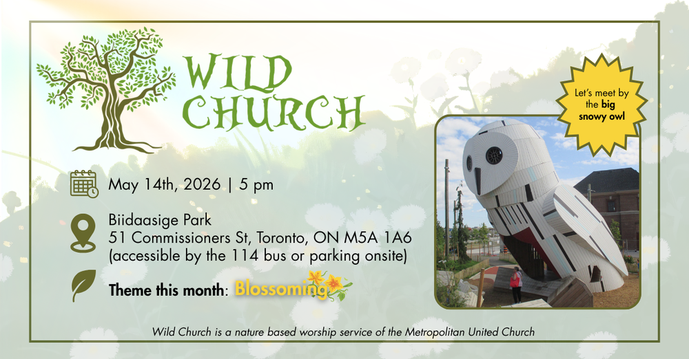 Wild Church
