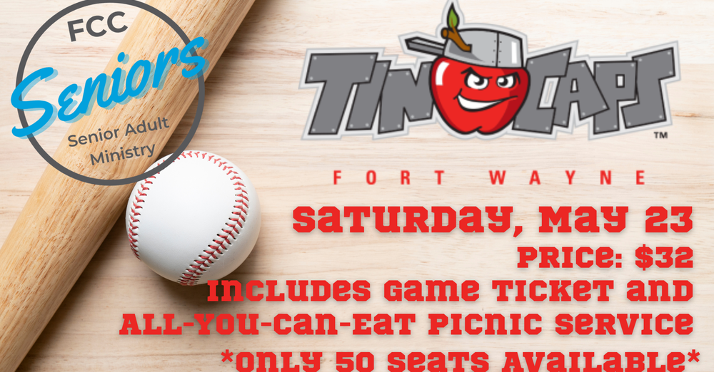 Tin Caps Game