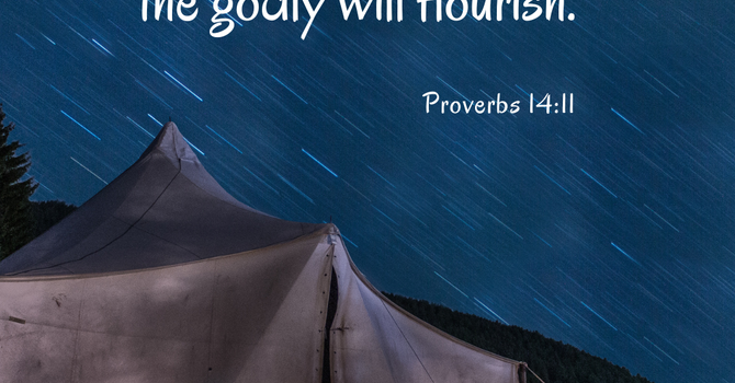 Be godly and Flourish  image
