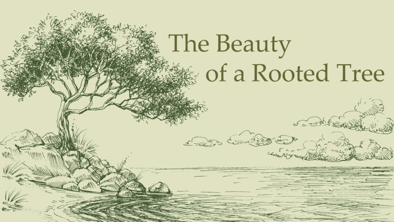 The Beauty of a Rooted Tree