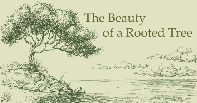 The Beauty of a Rooted Tree