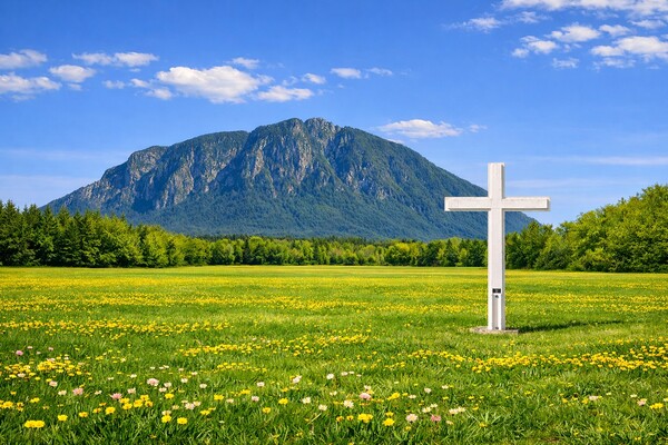 Disciples: Being & Making