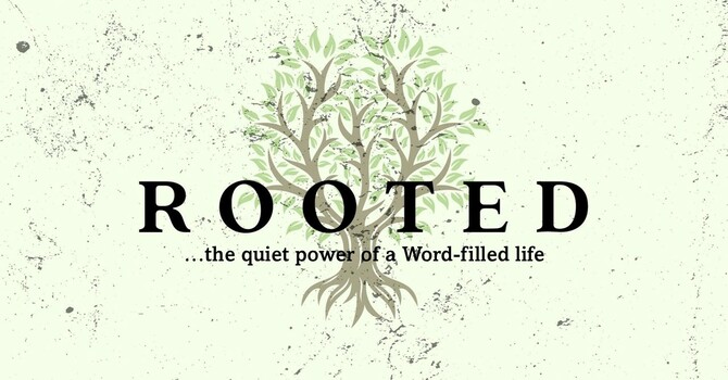 Rooted: The Quiet Power of a Word-Filled Life