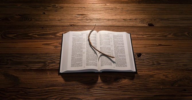 Bible Study Fellowship