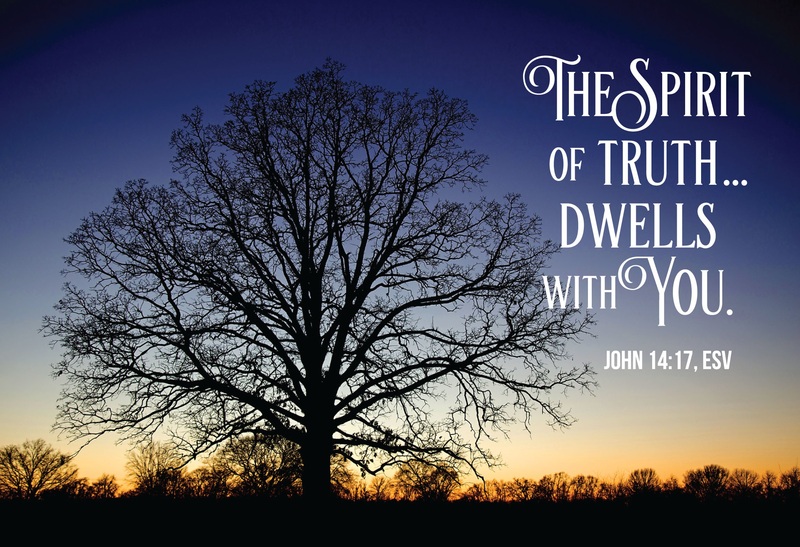 Sermon for May 10, 2026