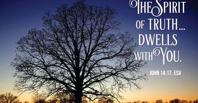 Sermon for May 10, 2026