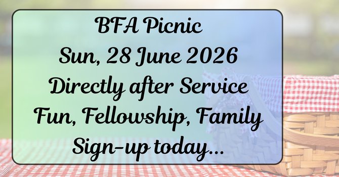 BFA Summe Picnic