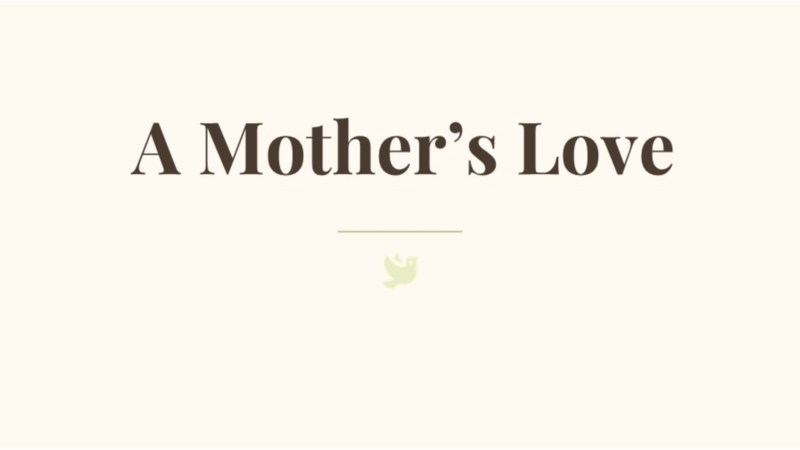 A Mother's Love