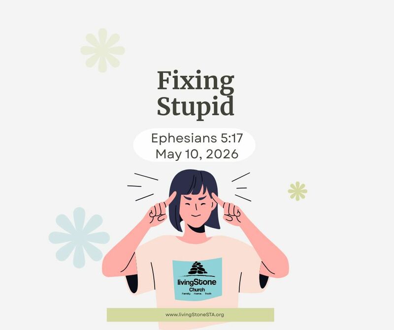 Fixing Stupid