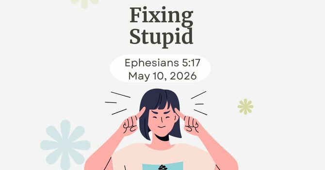 Fixing Stupid