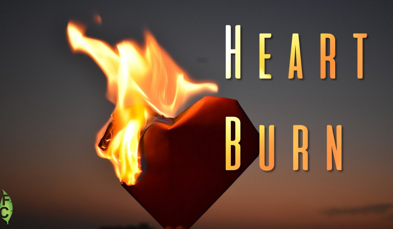 Who Is Responsible For The Way Our Heart Burns?