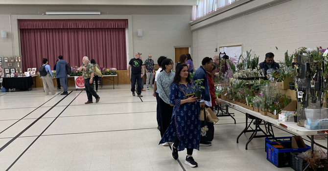 Plant & Orchid Sale Photos Group 1 image