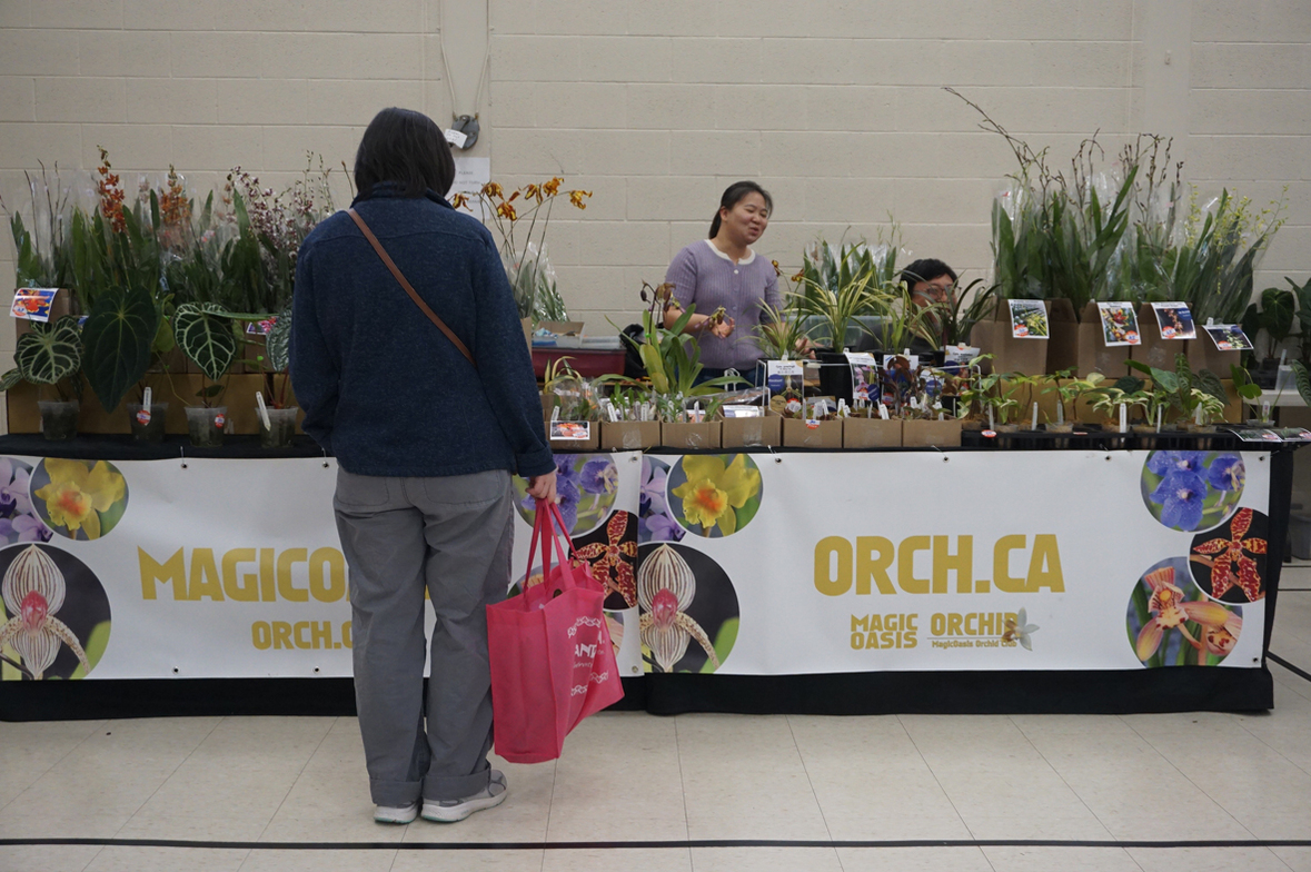 Slideshow image