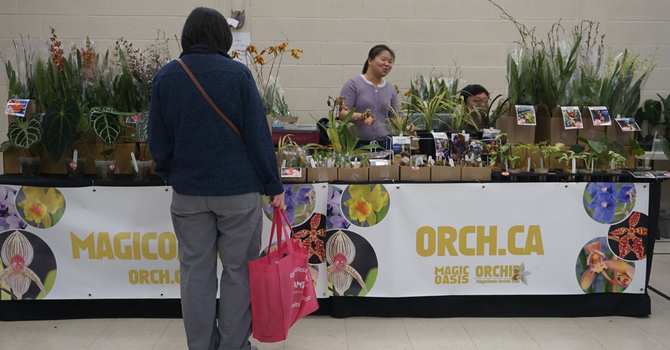 Plant & Orchid Sale Photos Group 2. image