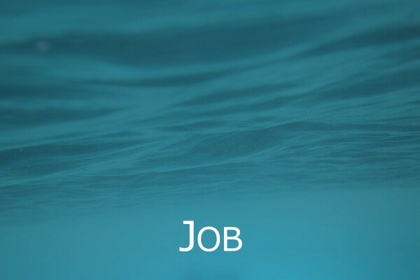 Job