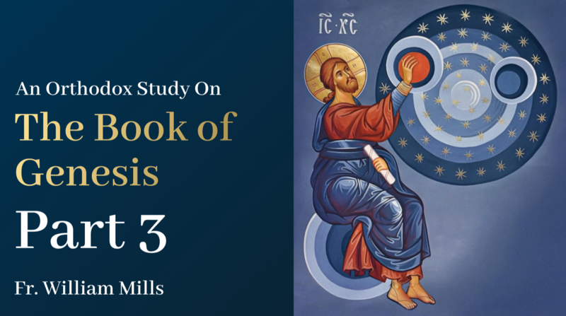 Genesis: Part 3
