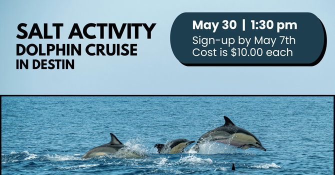 SALT Dolphin Cruise