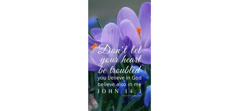 05/03/2026: Fifth Sunday of Easter