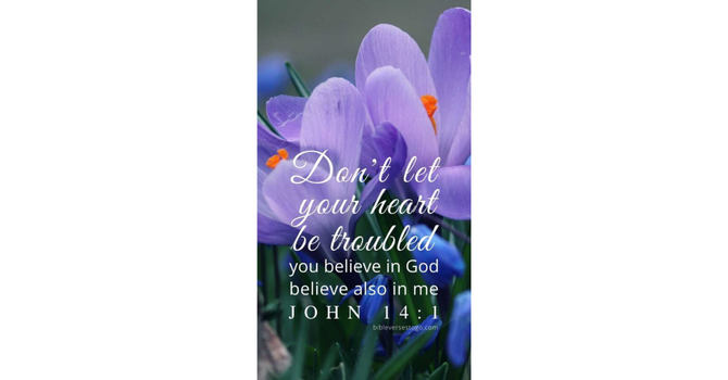 05/03/2026: Fifth Sunday of Easter