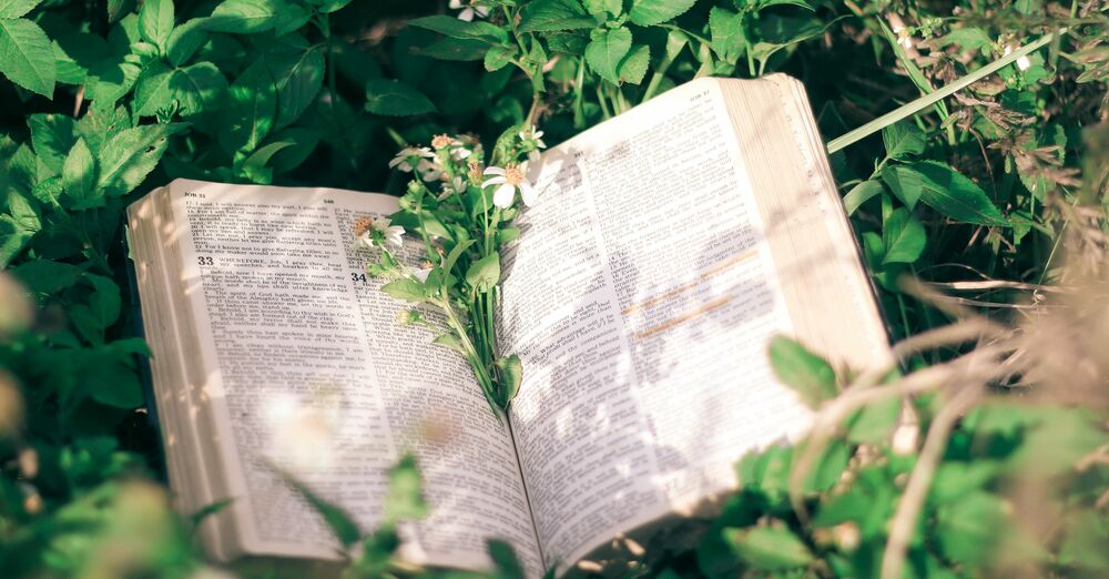 Seventh Sunday of Easter