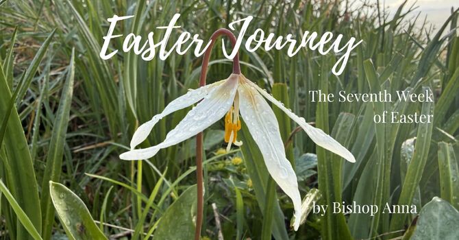 Seventh Week of Easter
