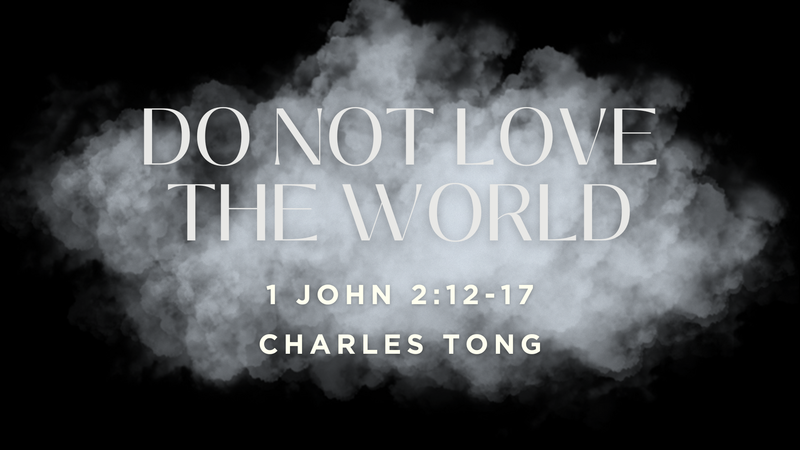 Do Not Love the World