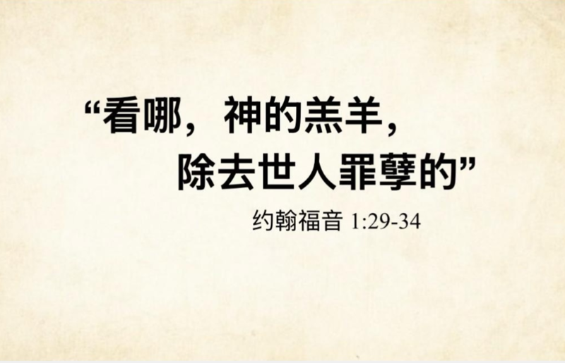 看那，神的羔羊，除去世人罪孽的