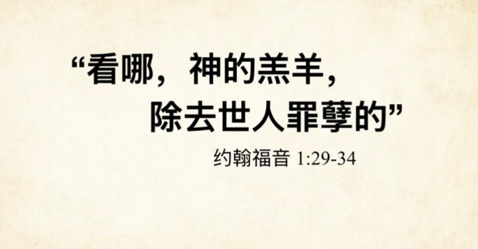 看那，神的羔羊，除去世人罪孽的