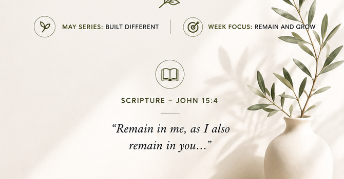 Remain and Respond image