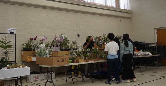 Plant & Orchid Sale Group 3 + Video.