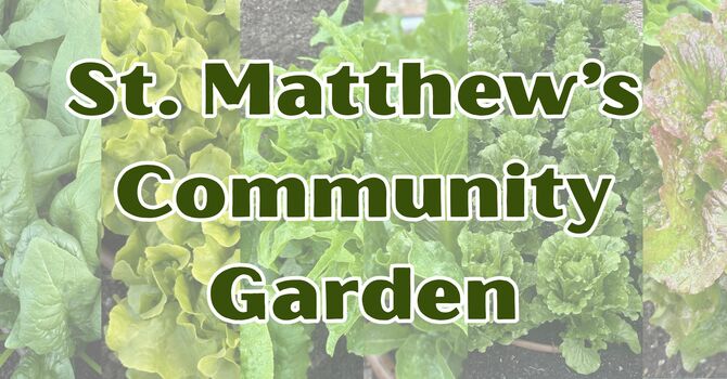 Community Garden Update