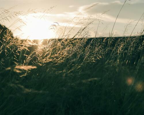 Locked In: Philippians
