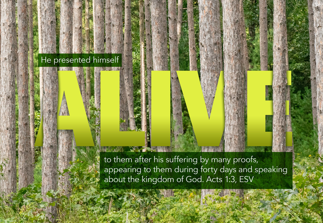 Slideshow image