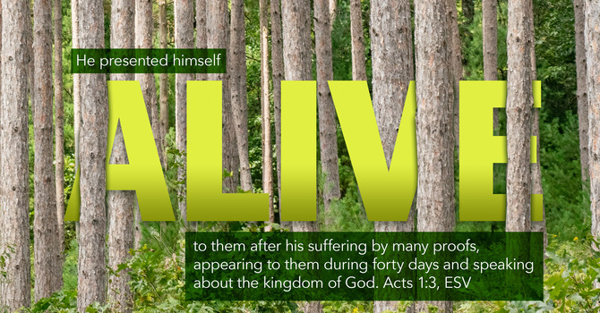 Worship bulletin image