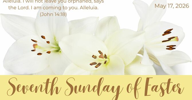 Seventh Sunday of Easter image