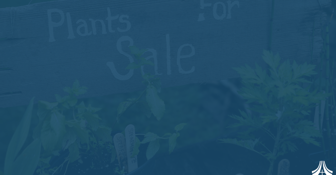 Plant Sale image